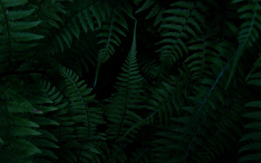 Government, businesses, technological startups, and knowledge agents drive the commitment to innovation